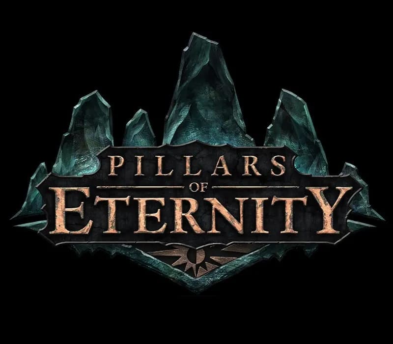 Okładka gry Pillars of Eternity Hero Edition