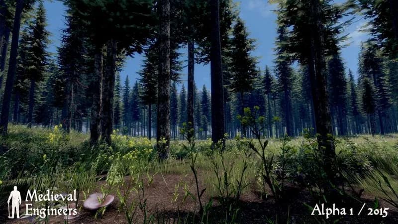 Okładka gry Medieval Engineers