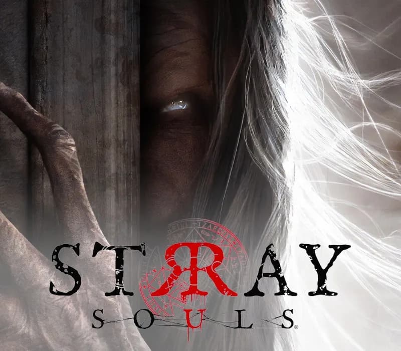 Okładka gry STRAY SOULS Steam