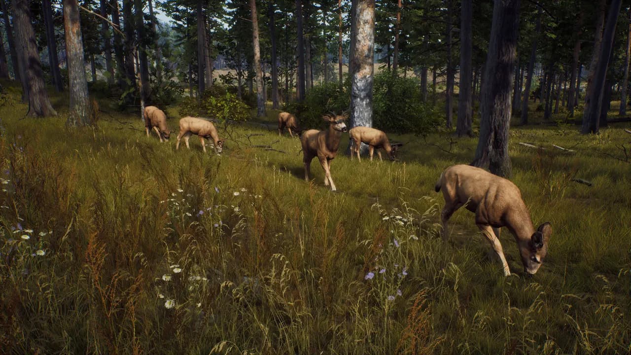 Way of the Hunter Elite Edition STEAM KLUCZ — zrzut ekranu 1 z 6