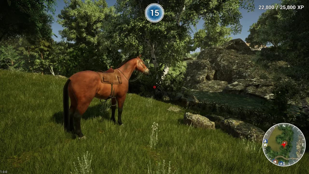 ANIMAL DOCTOR Steam — zrzut ekranu 3