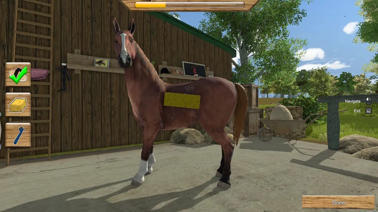 MY LITTLE RIDING CHAMPION Steam — zrzut ekranu 4