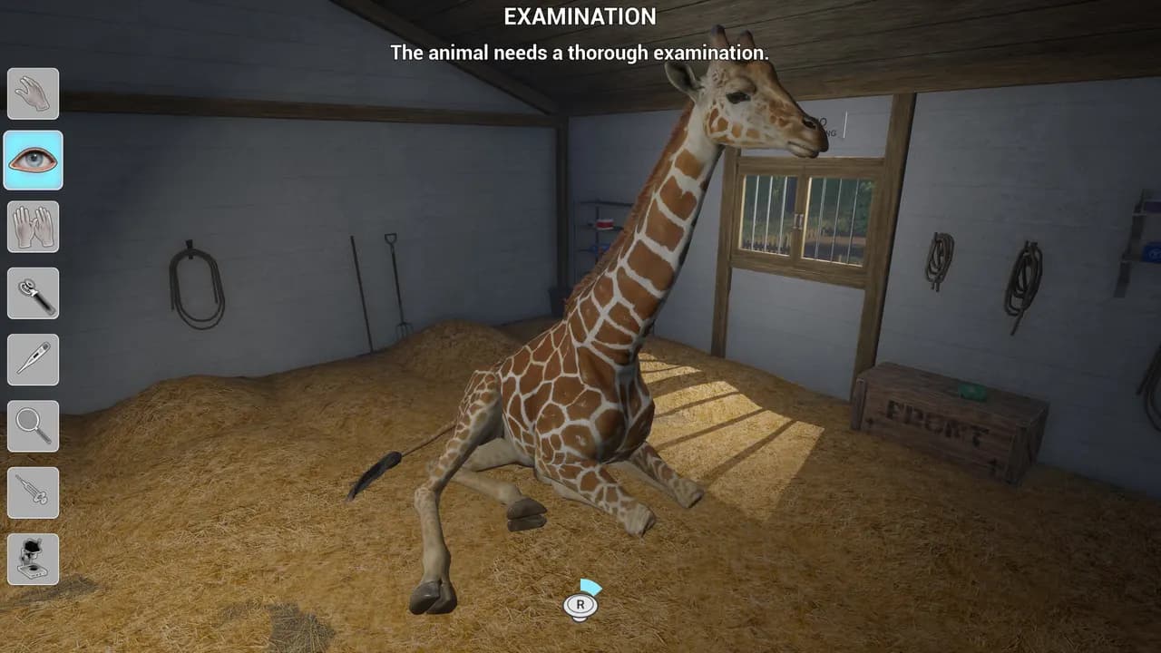 MY LIFE: ZOO VET Xbox One & Series X/S — zrzut ekranu 4