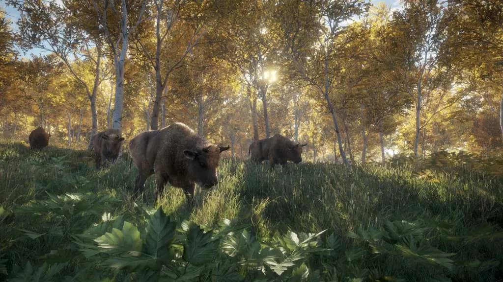 theHunter: Call of the Wild STEAM KLUCZ — zrzut ekranu 2