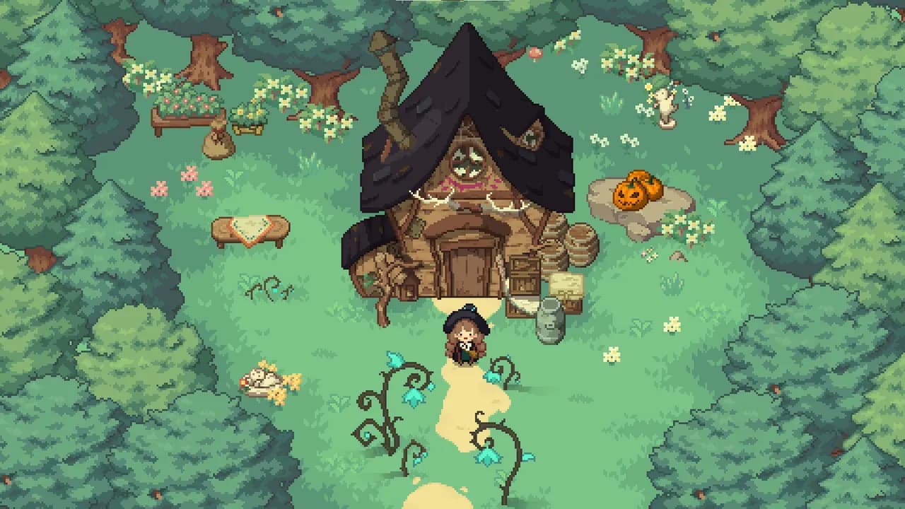 Little Witch the Woods STEAM KLUCZ — zrzut ekranu 1 z 6