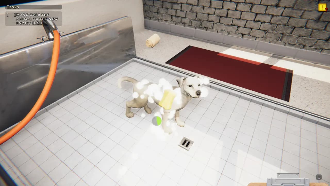 ANIMAL SHELTER SIMULATOR Xbox One & Series X/S — zrzut ekranu 4