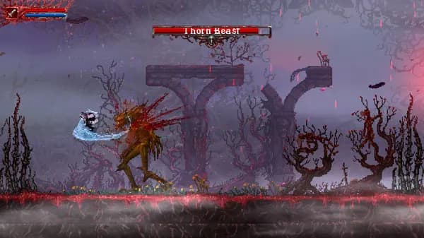 VALFARIS AND SLAIN BACK FROM HELL BUNDLE Steam — zrzut ekranu 1 z 6