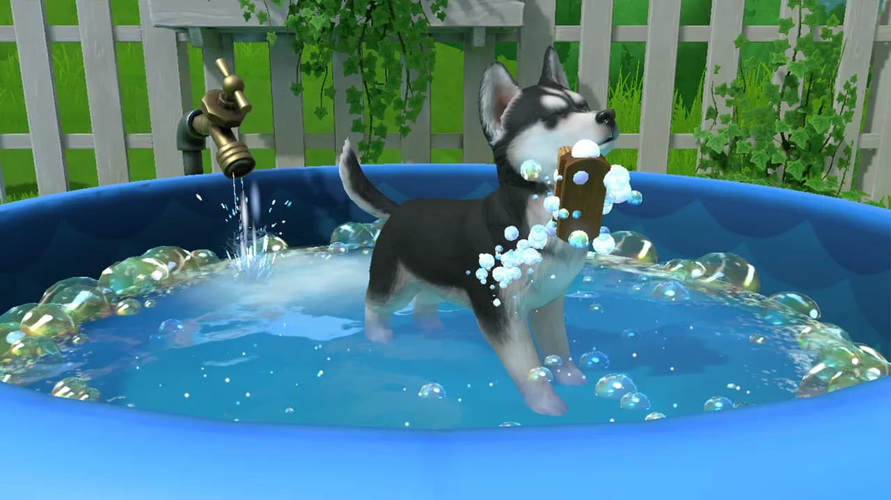 LITTLE FRIENDS PUPPY ISLAND Steam — zrzut ekranu 6