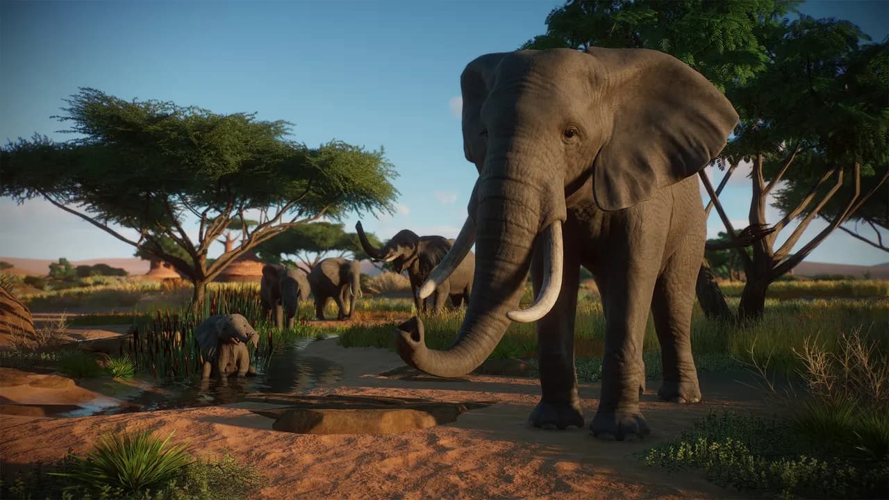 PLANET ZOO: CONSOLE EDITION Xbox Series X/S — zrzut ekranu 1 z 5