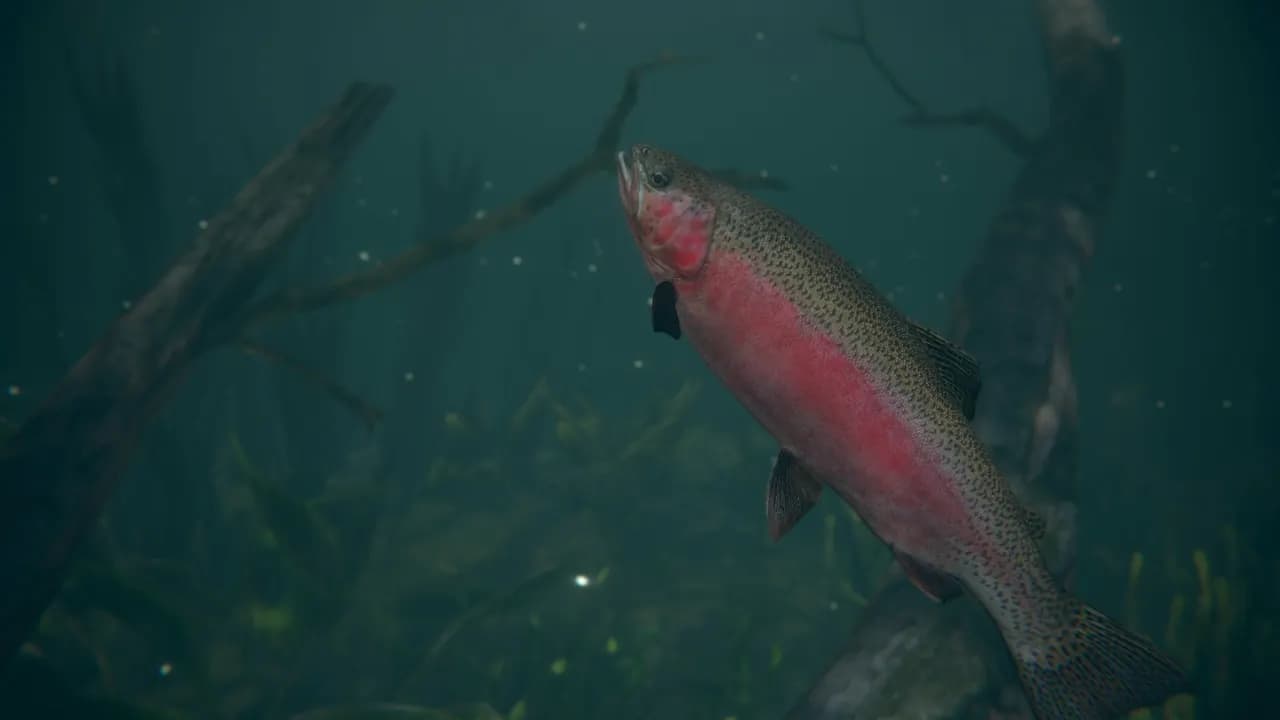 Ultimate Fishing Simulator 2 — zrzut ekranu 2