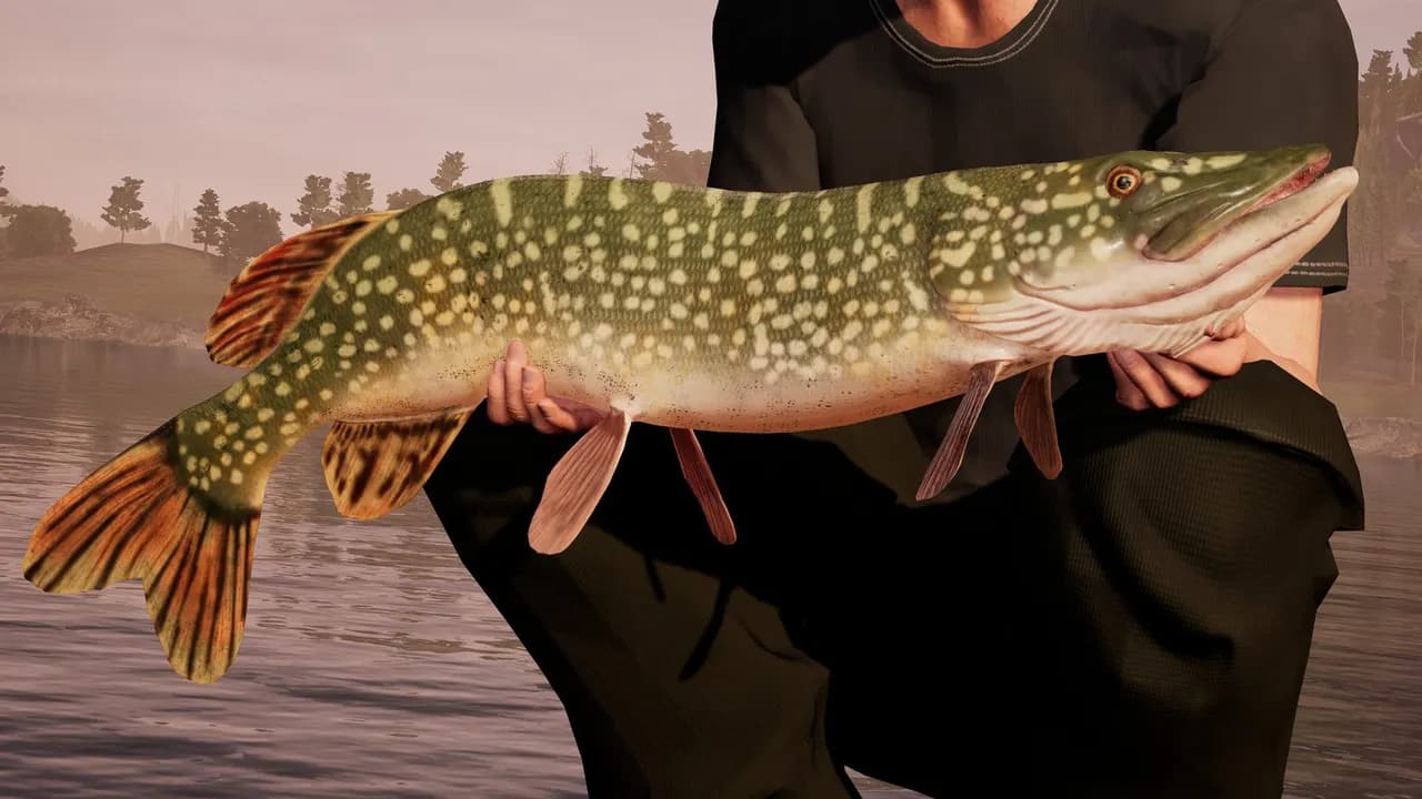 FISHING SIM WORLD PRO TOUR Steam — zrzut ekranu 4