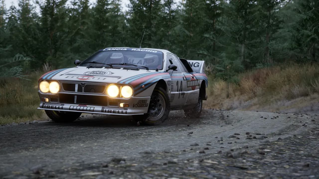 Assetto Corsa Rally STEAM KLUCZ — zrzut ekranu 6