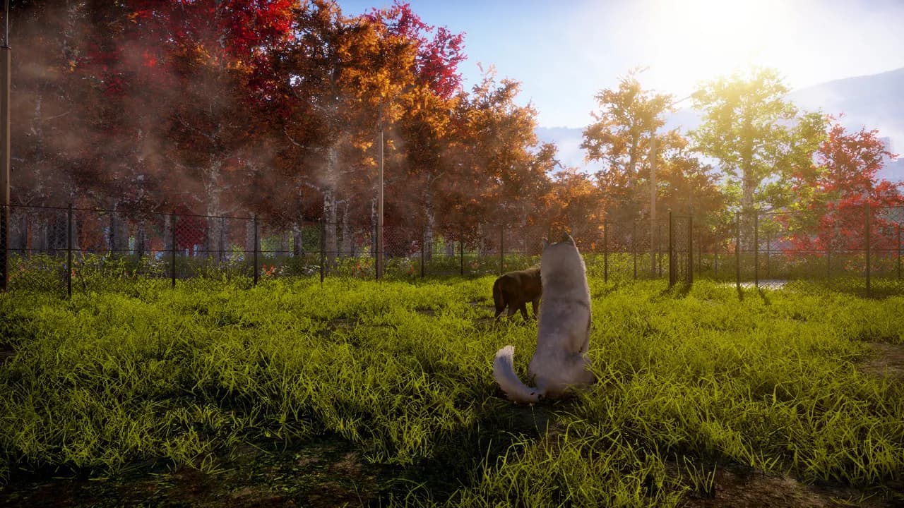 Animal Shelter 2 STEAM KLUCZ — zrzut ekranu 3