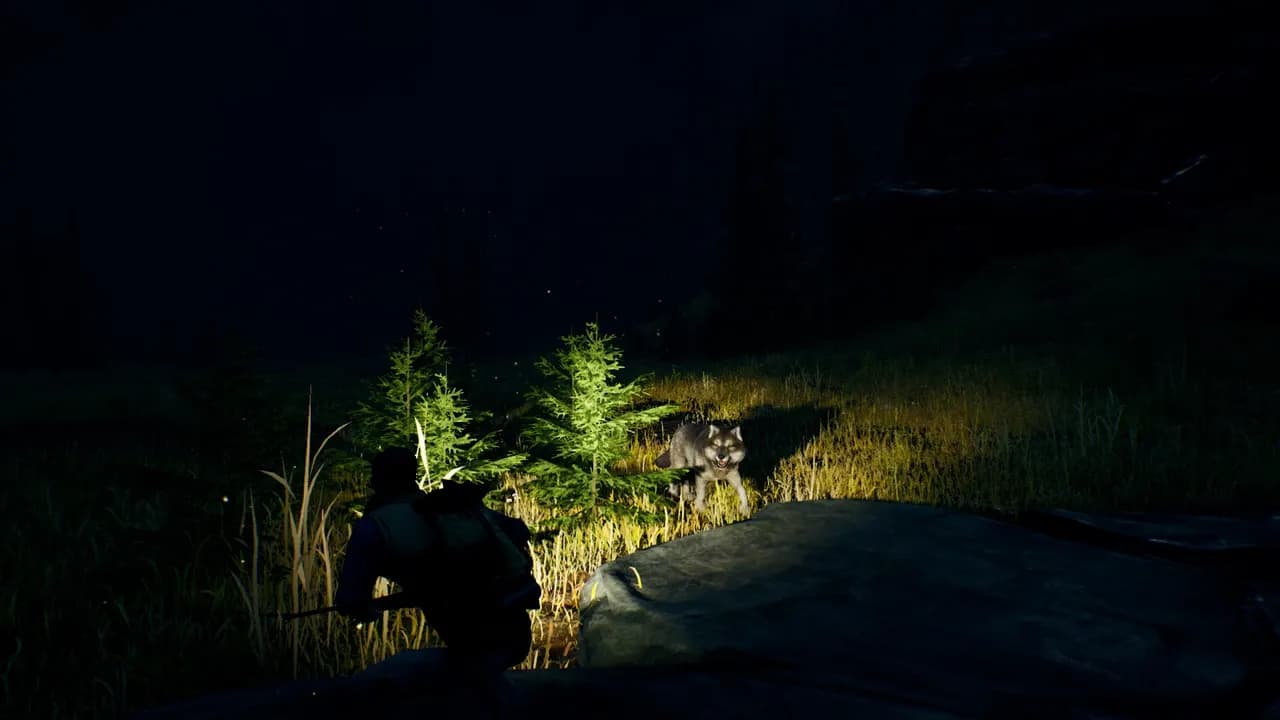 OPEN COUNTRY Steam — zrzut ekranu 3