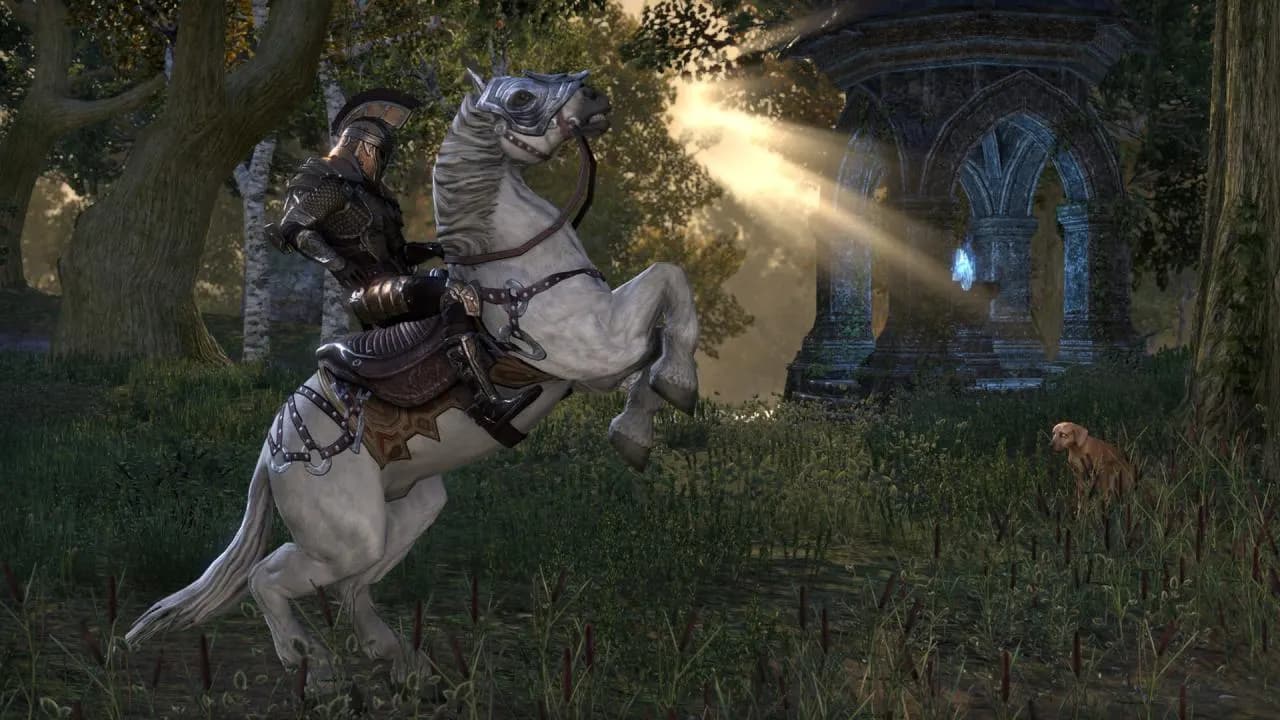 THE ELDER SCROLLS ONLINE Xbox One & Series X/S — zrzut ekranu 6