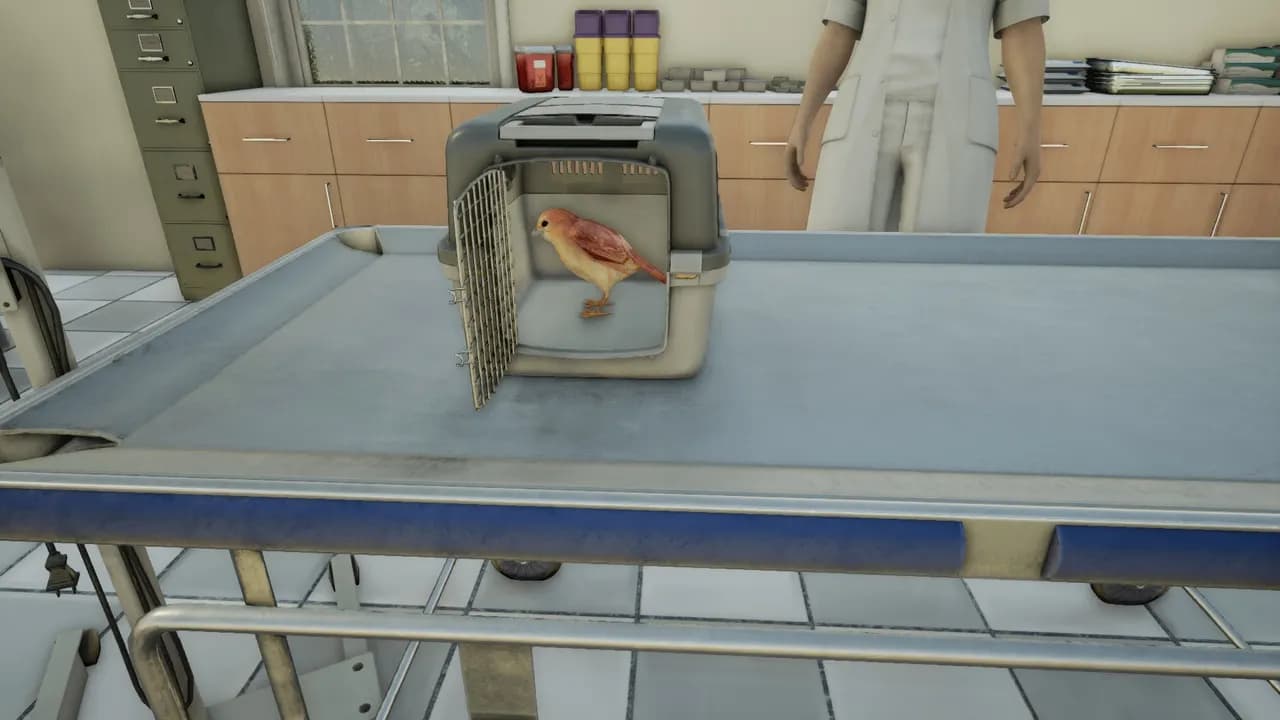 ANIMAL DOCTOR Steam — zrzut ekranu 5
