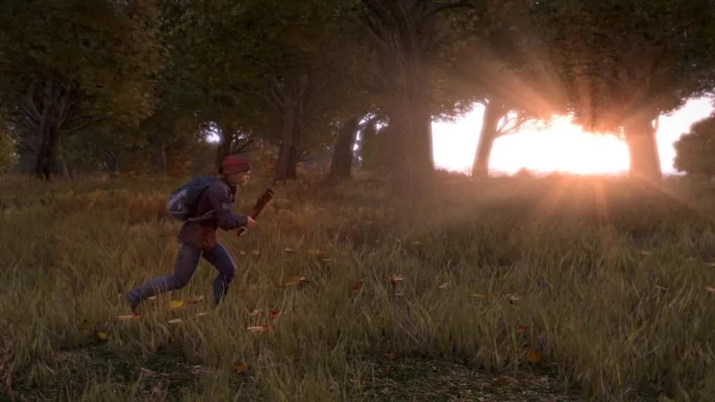 DayZ STEAM KLUCZ — zrzut ekranu 3