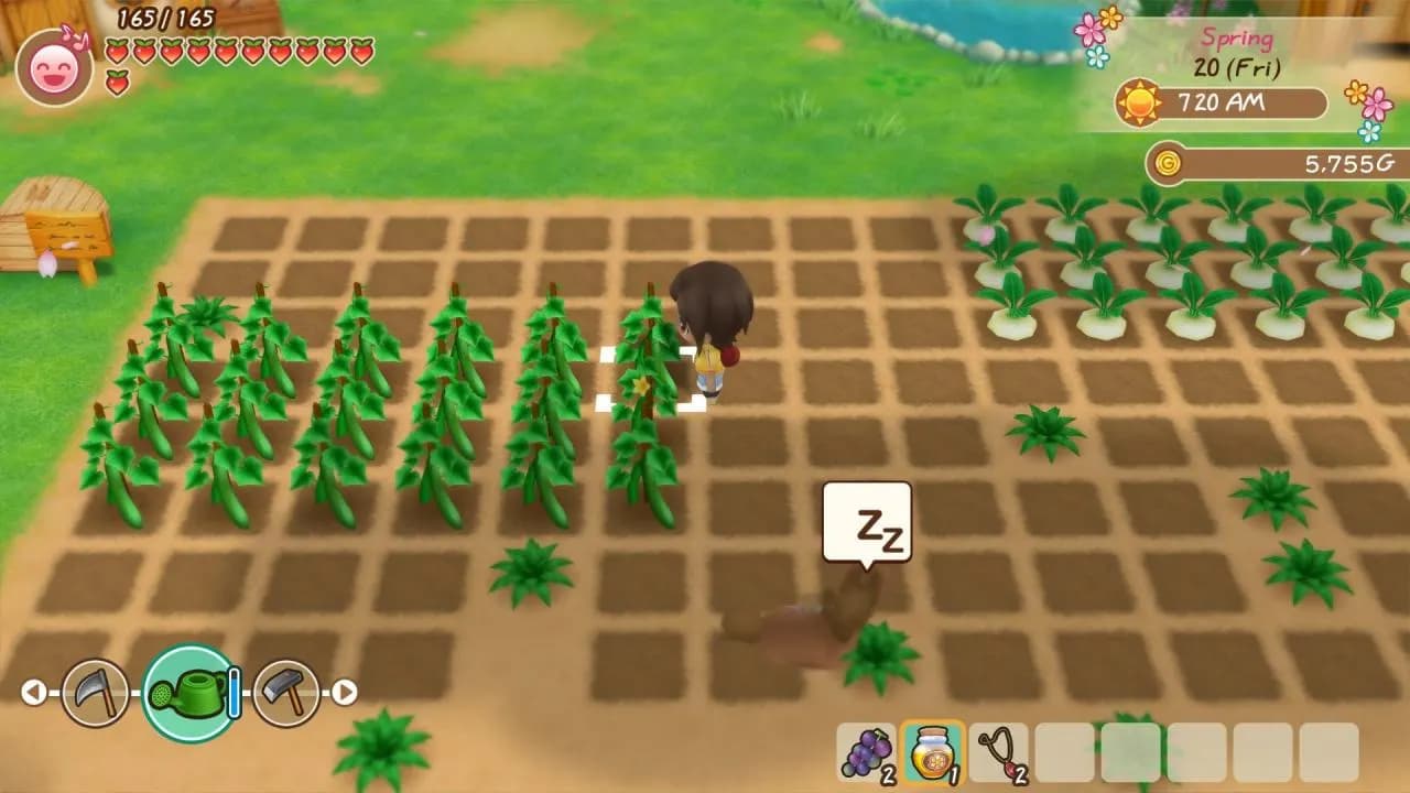 STORY OF SEASONS FRIENDS OF MINERAL TOWN Xbox One & Series X/S — zrzut ekranu 2