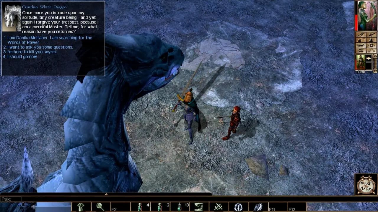 Neverwinter Nights: Enhanced Edition STEAM KLUCZ — zrzut ekranu 5