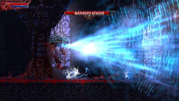 VALFARIS AND SLAIN BACK FROM HELL BUNDLE Steam — zrzut ekranu 3