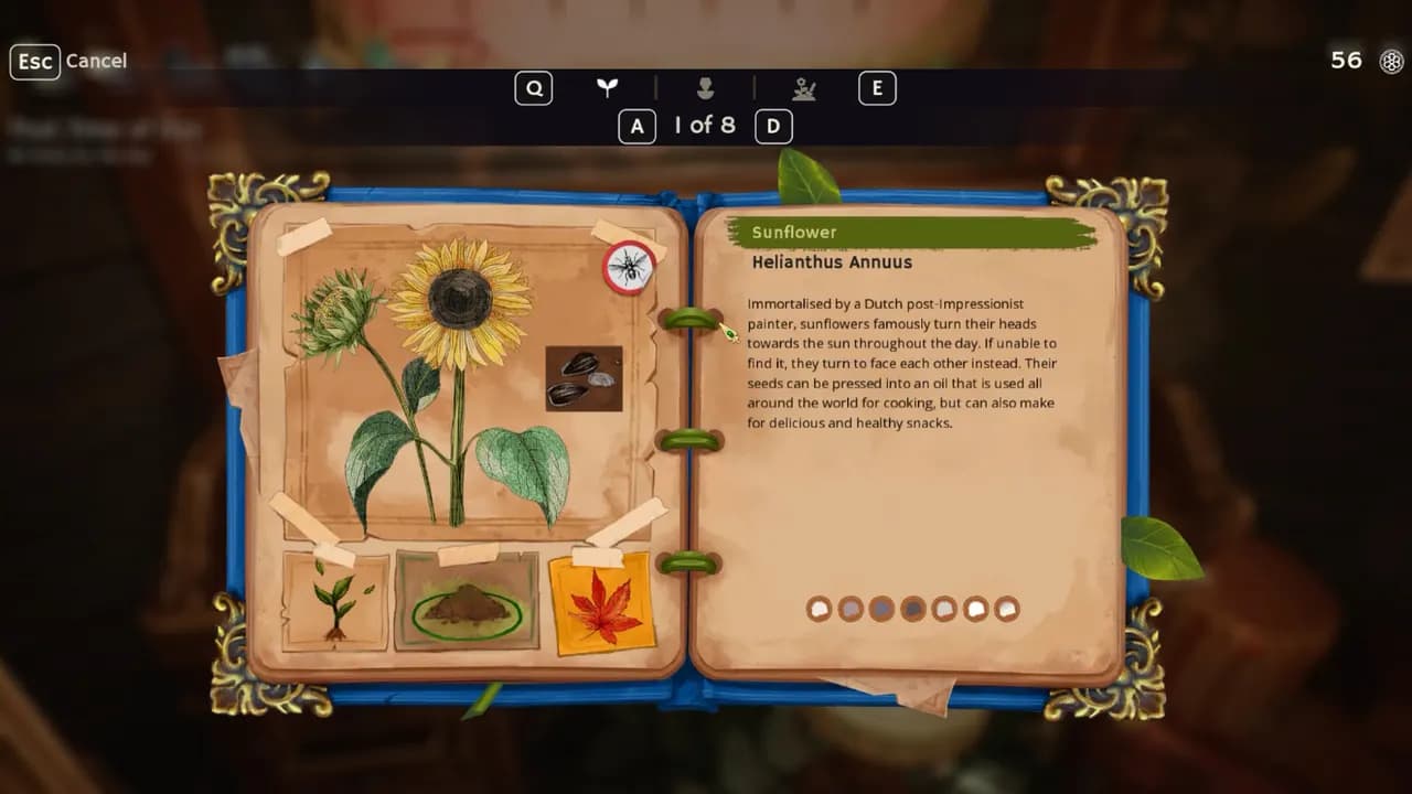 Garden Life: A Cozy Simulator STEAM KLUCZ — zrzut ekranu 5