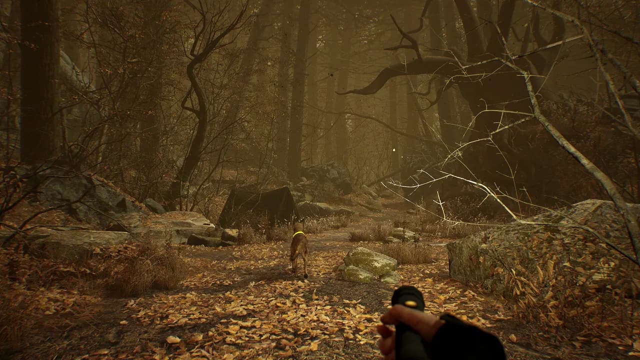 BLAIR WITCH VR Steam — zrzut ekranu 5