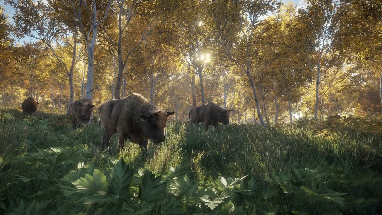 THEHUNTER: CALL OF THE WILD - HUNTING STARTER PACK BUNDLE Xbox One & Series X/S — zrzut ekranu 5