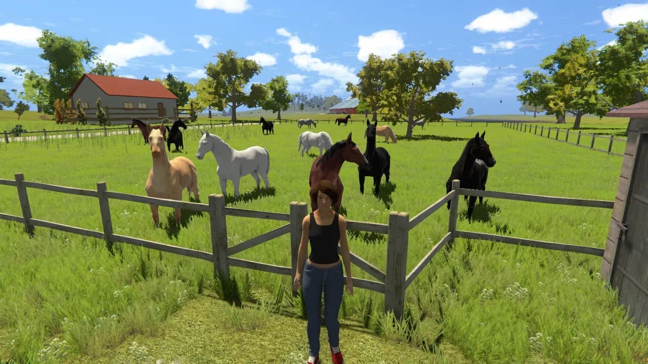 MY LITTLE RIDING CHAMPION Steam — zrzut ekranu 5