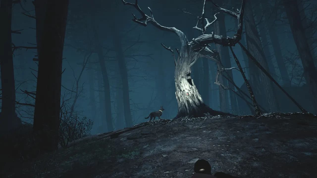BLAIR WITCH VR Steam — zrzut ekranu 4