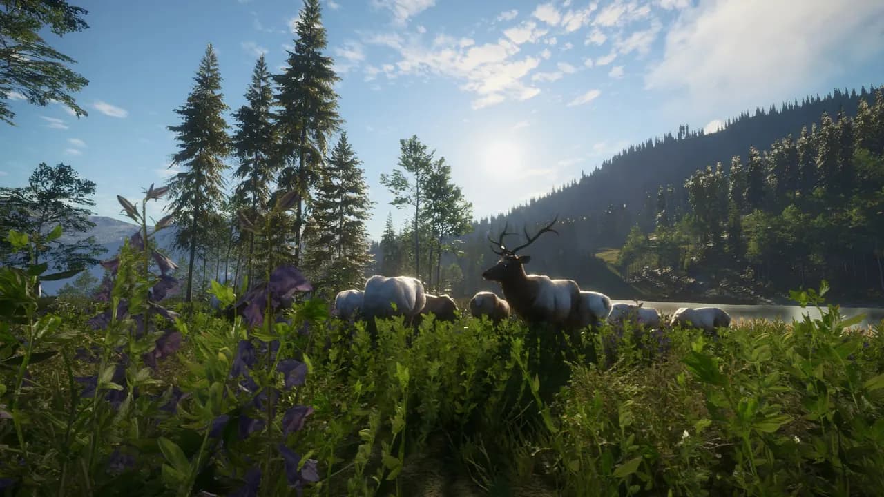 THEHUNTER: CALL OF THE WILD - HUNTING STARTER PACK BUNDLE Xbox One & Series X/S — zrzut ekranu 2