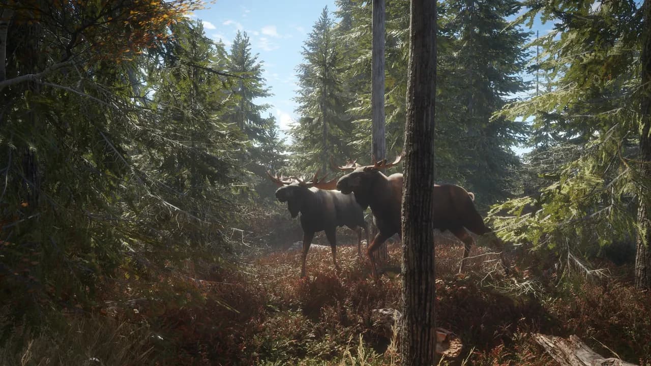 THEHUNTER: CALL OF THE WILD - HUNTING STARTER PACK BUNDLE Xbox One & Series X/S — zrzut ekranu 4