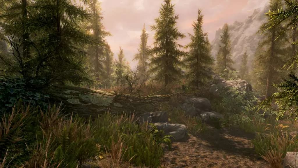 THE ELDER SCROLLS V: SKYRIM SPECIAL EDITION Xbox One & Series X/S — zrzut ekranu 5