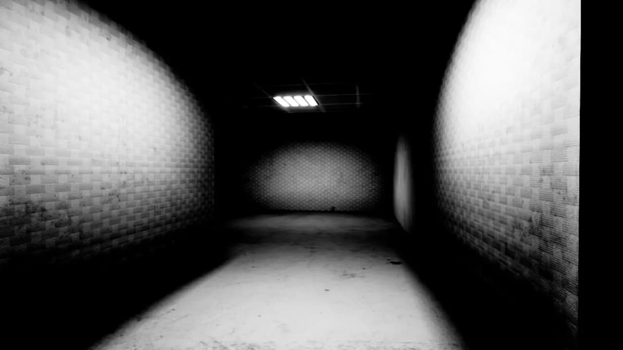 SKIBIDI BACKROOMS — zrzut ekranu 3