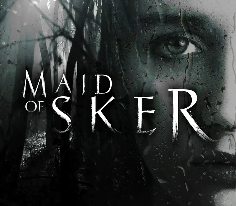 Okładka gry MAID OF SKER Steam