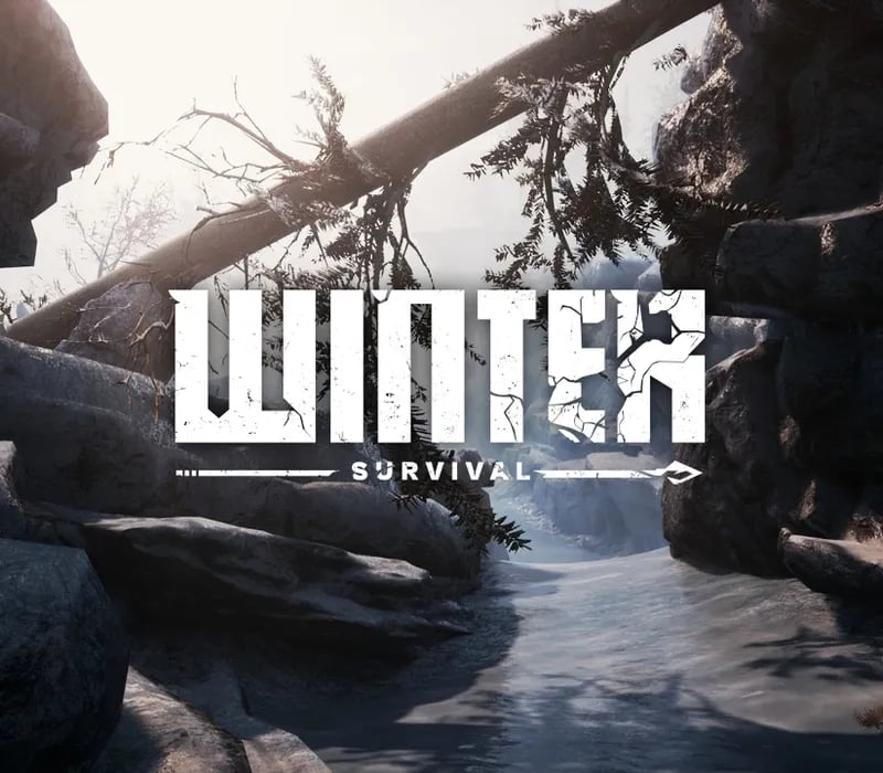 Okładka gry Winter Survival STEAM KLUCZ